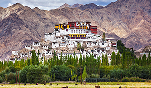 sightseeing in ladakh